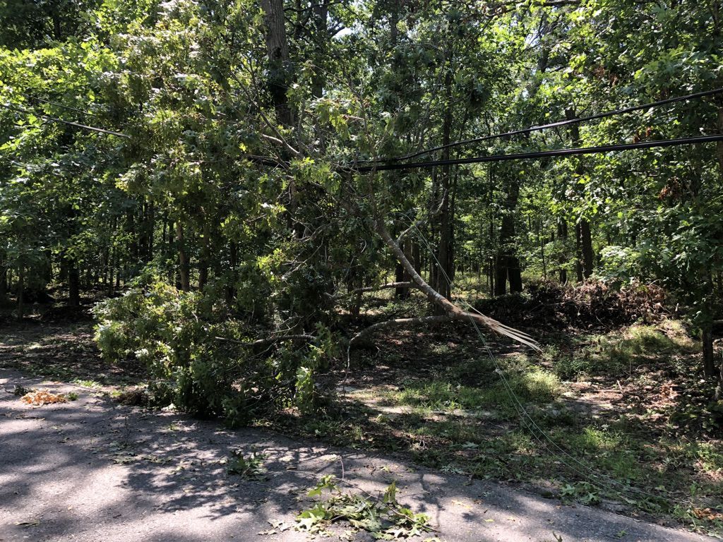 Tropical Storm Isaias aftermath in Hammonton